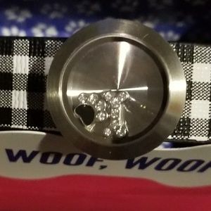 Origami owl collar and locket